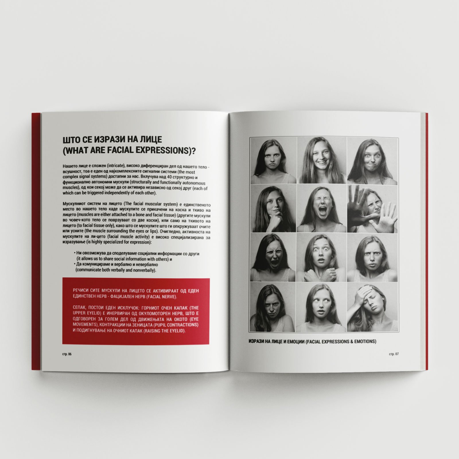 АНАЛИЗА НА ФАЦИЈАЛНИ ЕКСПРЕСИИ - Image 3